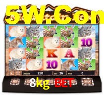 8kg.com